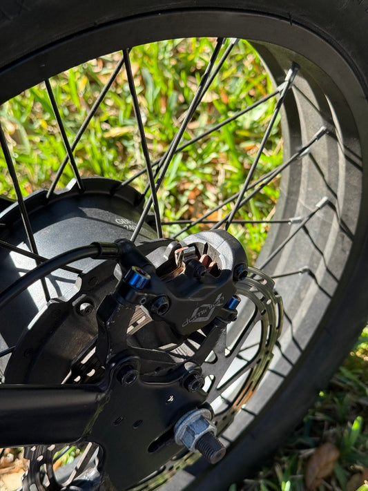 Titanium Caliper Bolts